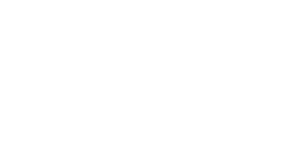 Fintudy logo