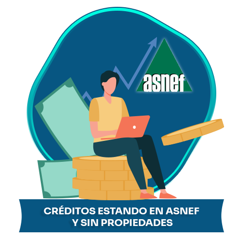 creditos estando en asnef sin propiedad